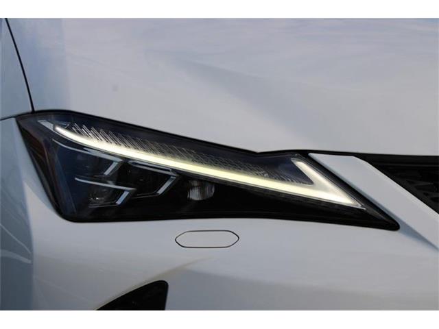 Lexus UX 12