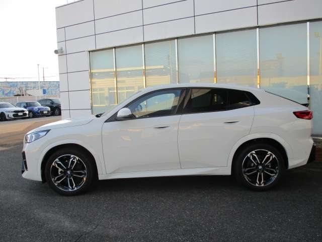 BMW X2 10