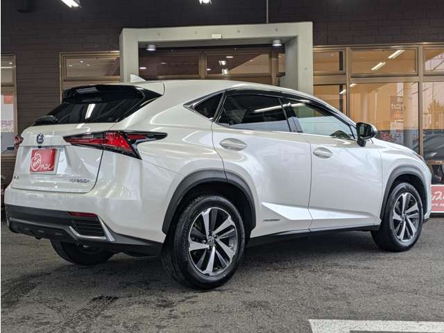 Lexus NX 11