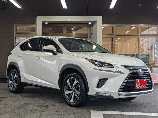 Lexus NX 9