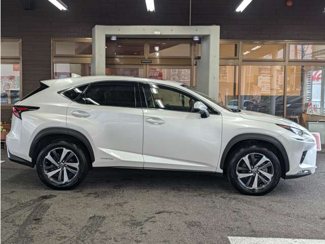Lexus NX 10