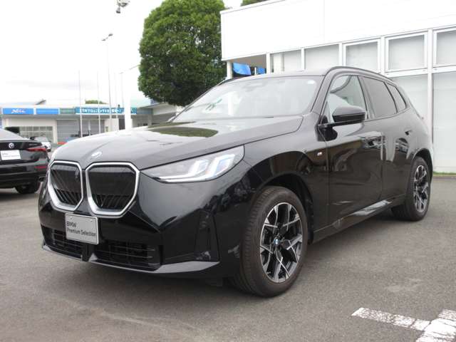 BMW X3 6