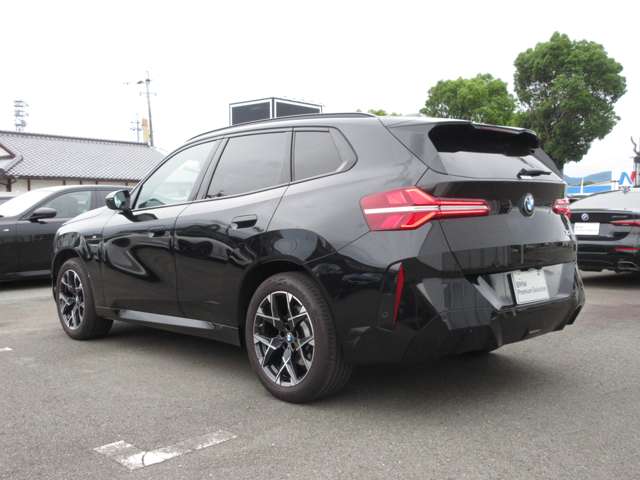 BMW X3 8