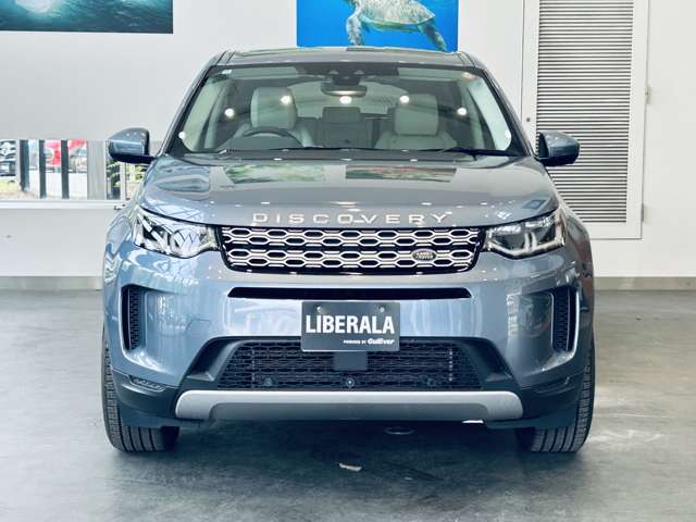 Land Rover Discovery Sport 8