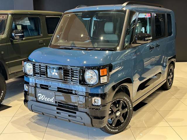 Mitsubishi Delica Mini 12