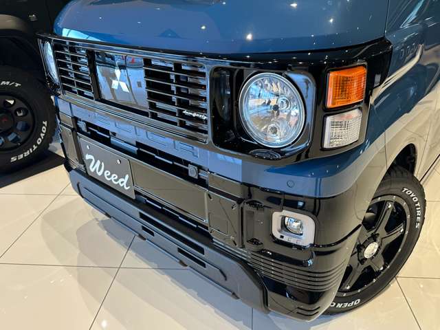 Mitsubishi Delica Mini 6