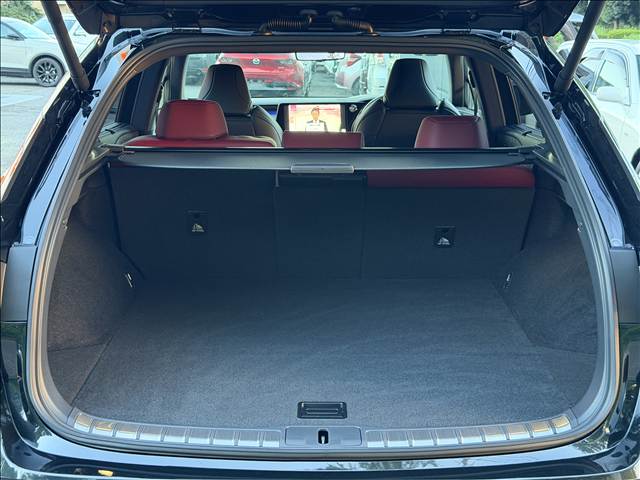 Lexus RX 11