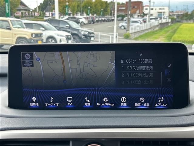 Lexus RX 11