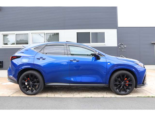 Lexus NX 4