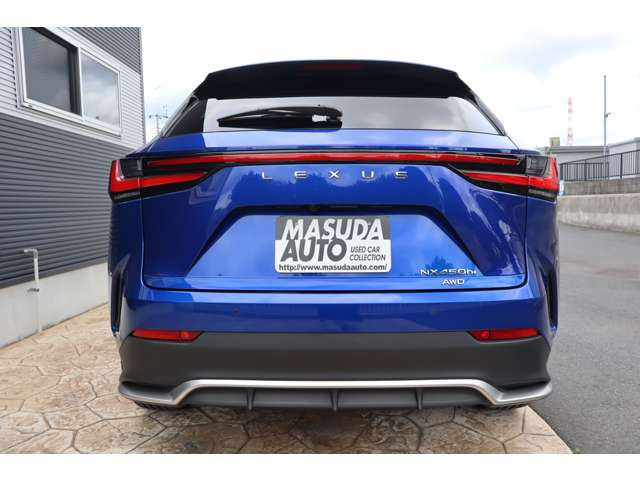 Lexus NX 6