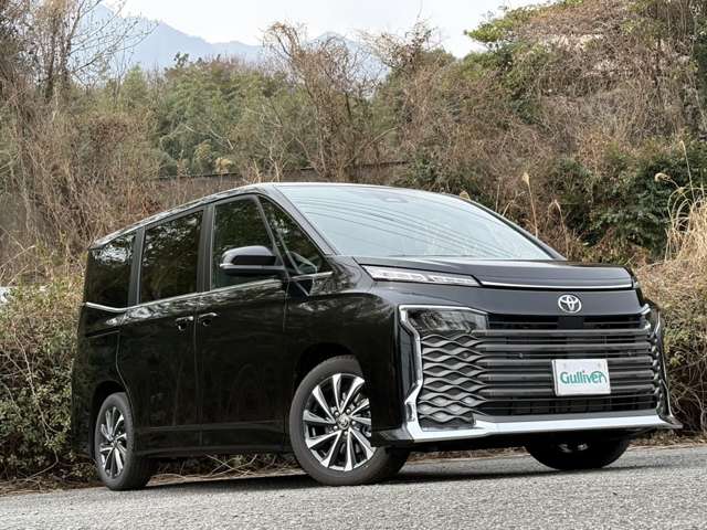 Toyota Voxy 9