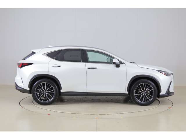 Lexus NX 4
