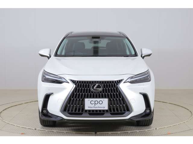 Lexus NX 5
