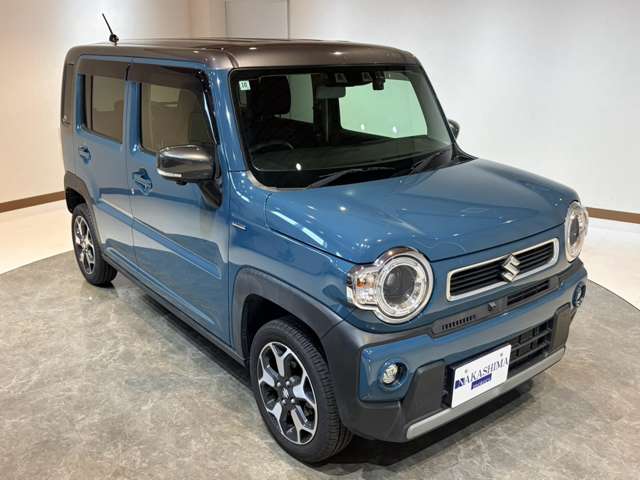 Suzuki Hustler 11