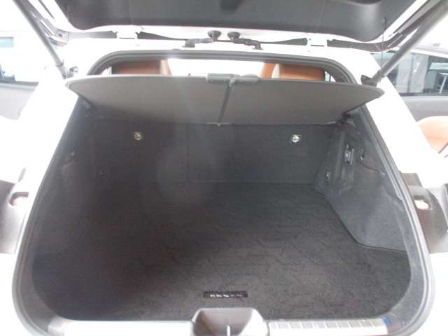 Toyota Crown Sport 9
