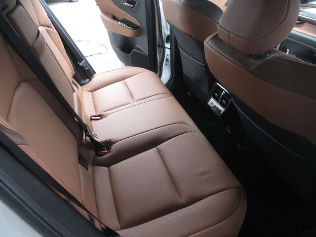 Toyota Crown Sport 10