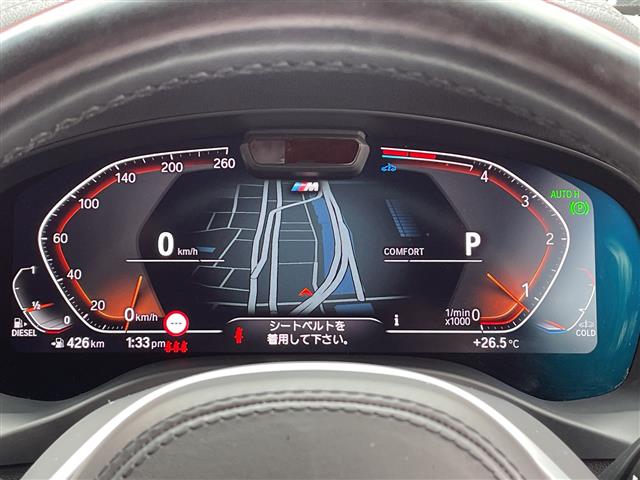 BMW X4 6