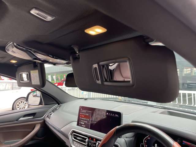 BMW X4 10