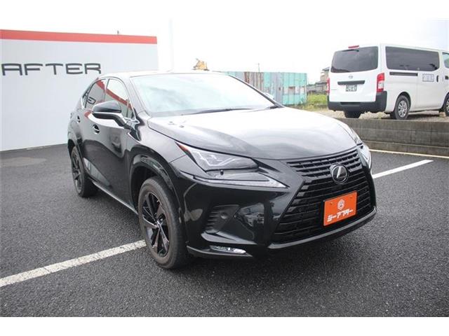 Lexus NX 11