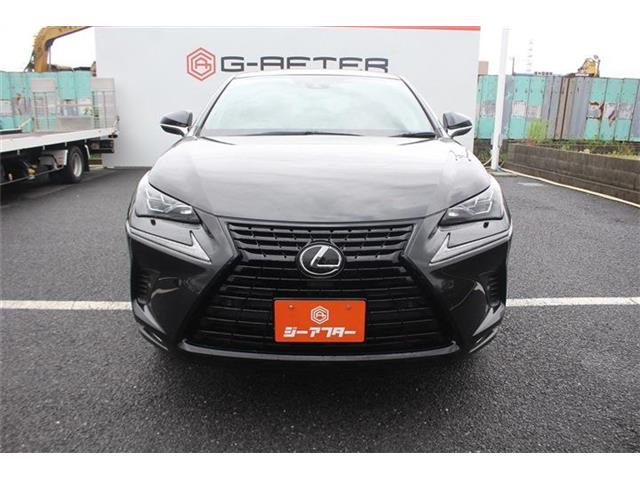 Lexus NX 12