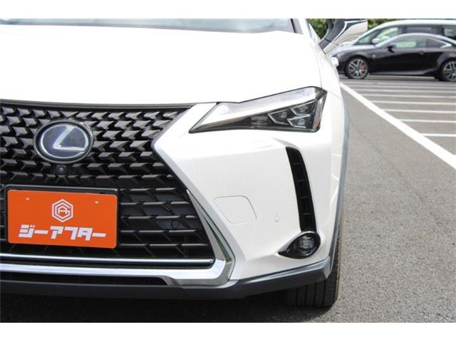 Lexus UX 11