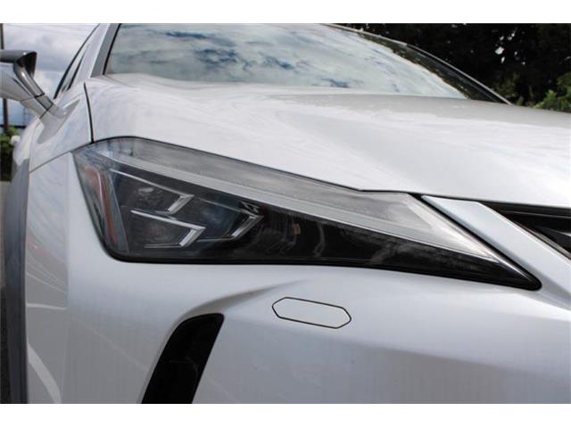 Lexus UX 12