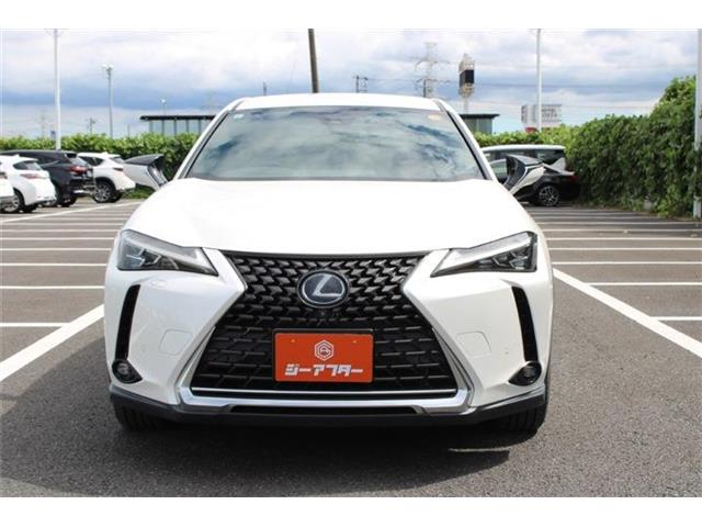 Lexus UX 9