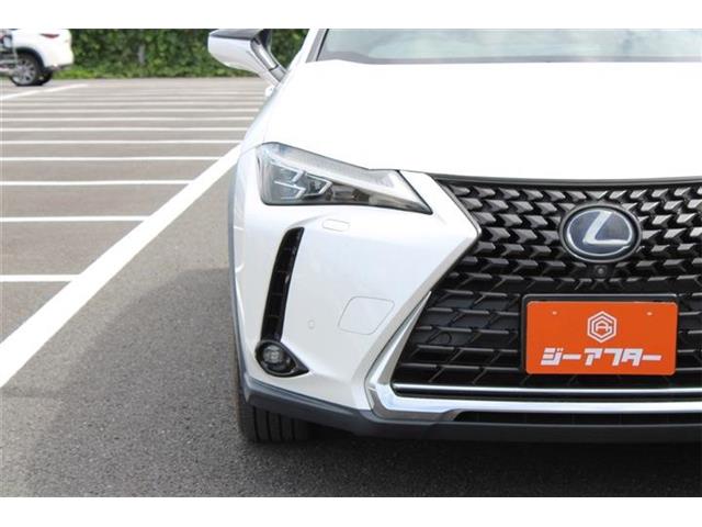 Lexus UX 10