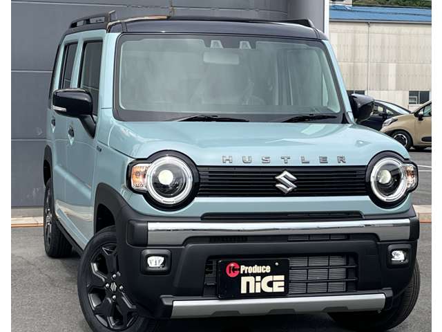 Suzuki Hustler 11