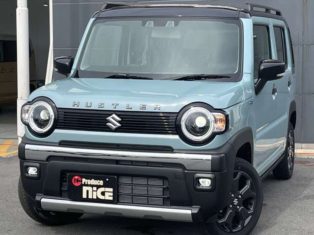 Suzuki Hustler 8