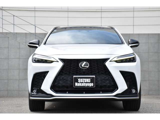 Lexus NX 6