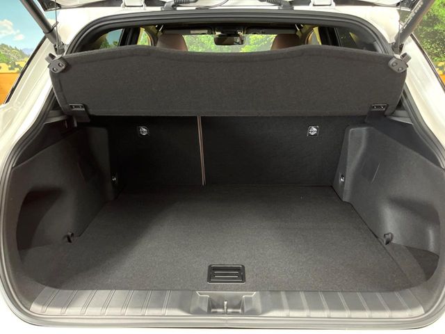 Lexus LBX 10
