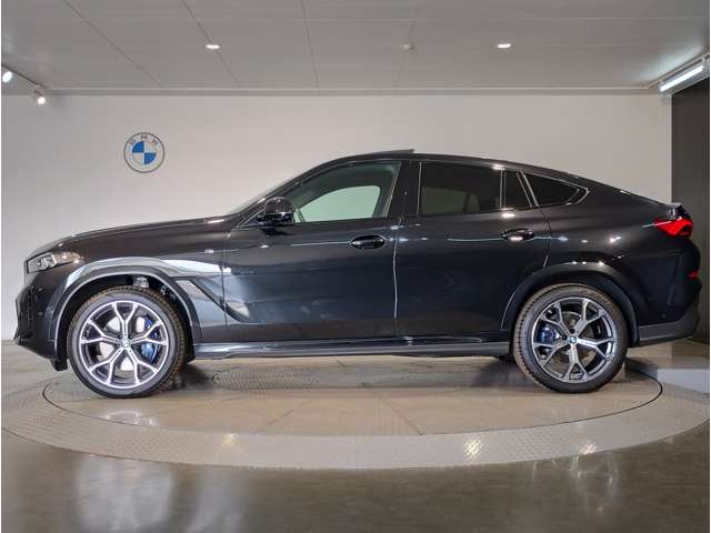 BMW X6 6