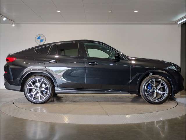 BMW X6 10