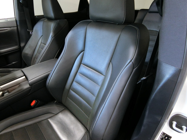 Lexus RX 11