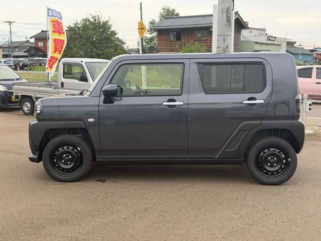 Daihatsu Taft 6