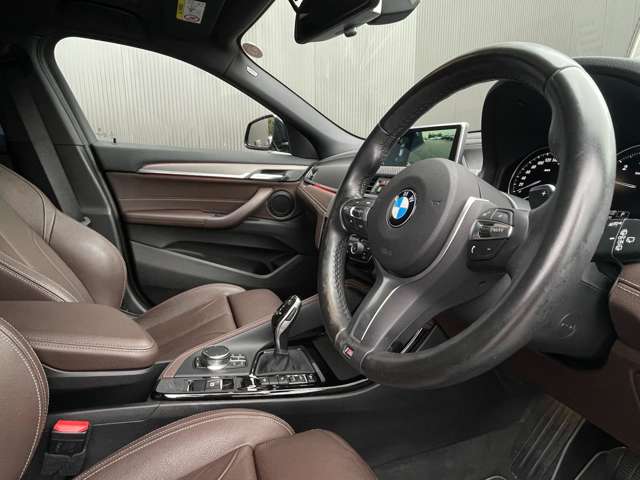BMW X2 10