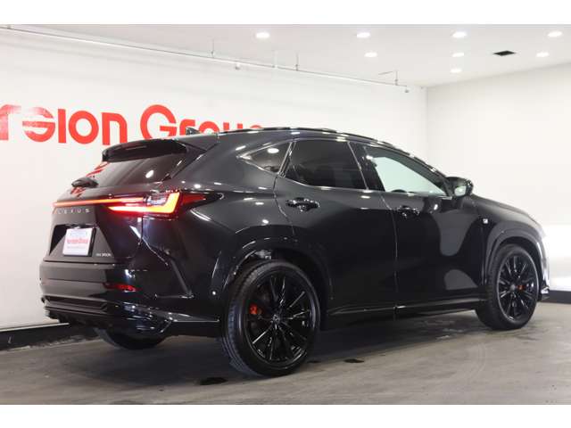 Lexus NX 4