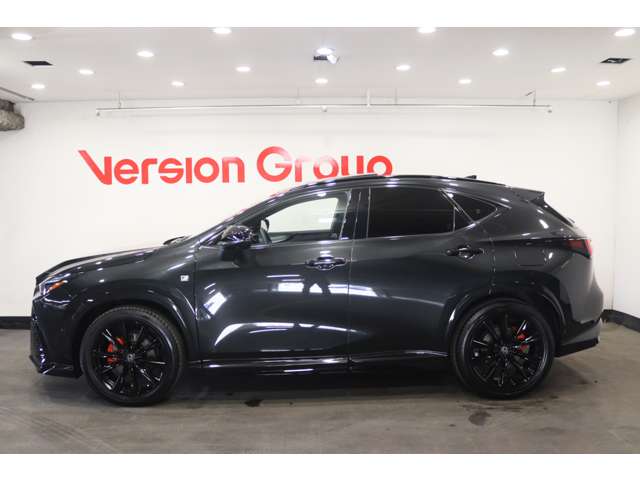 Lexus NX 5