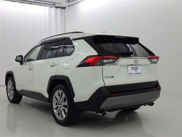 Toyota RAV4 6