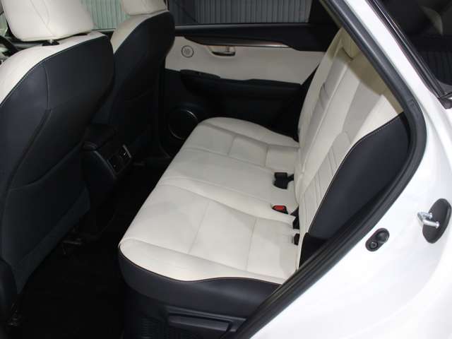 Lexus NX 11