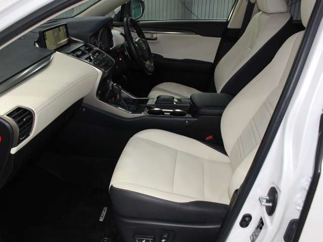 Lexus NX 3