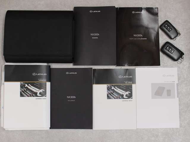 Lexus NX 9