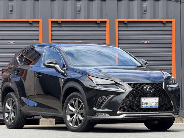 Lexus NX 11