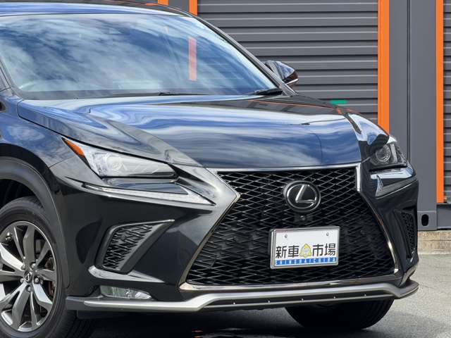 Lexus NX 12