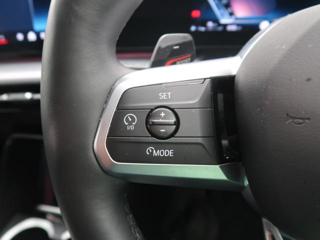 BMW X1 9