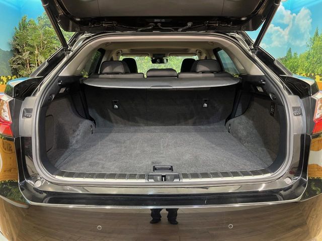 Lexus RX 11