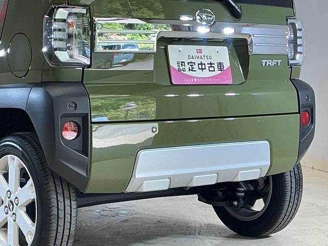 Daihatsu Taft 8