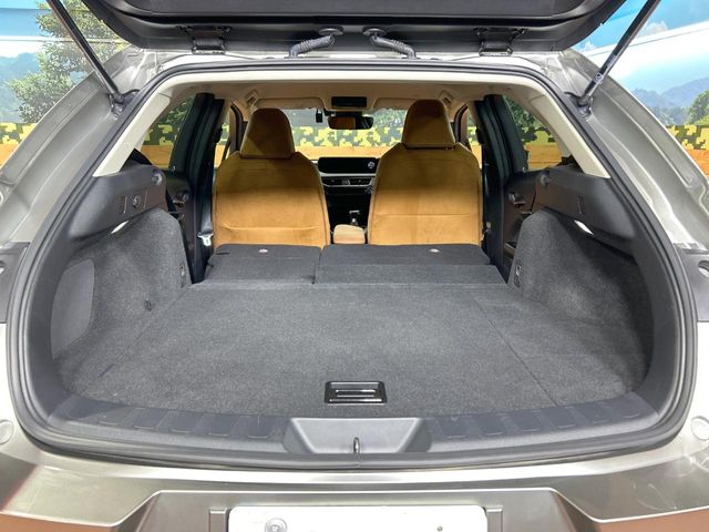 Lexus UX 12