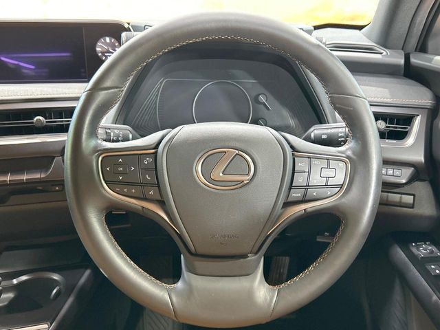 Lexus UX 9